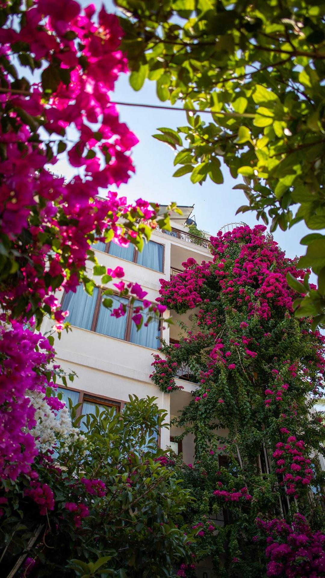 Patron Hotel Antalya Eksteriør bilde